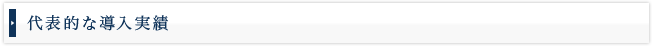代表的な導入事例